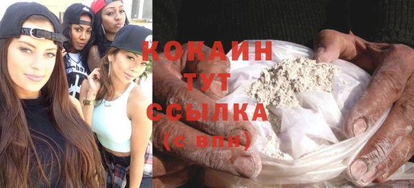 гидра Абаза