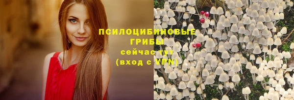мет Алзамай