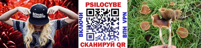 Псилоцибиновые грибы Cubensis  Черемхово 